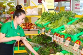Bộ đôi cổ phiếu bán lẻ MWG, FRT hạ nhiệt