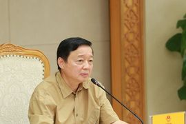 Chuẩn bị triển khai thí điểm 2 dự án điện gió ngoài khơi và hoàn thiện cơ chế, chính sách pháp luật