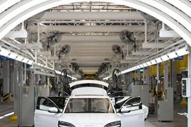 Nikkei: Mở toang cửa cho xe điện Trung Quốc, Thái Lan có bấm nút "tự hủy" cho ngành ô tô nội địa?