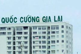 Cổ phiếu Quốc Cường Gia Lai bất ngờ tăng trần, cổ phiếu LDG xuống đáy giá thấp nhất lịch sử