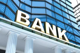 Nhiều ngân hàng nhỏ đang phải đối mặt với nhiều vấn đề về nợ xấu và thanh khoản