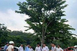 Chuyên gia nói gì về bảng giá đất của Tp.HCM, ai là người “chịu trận”?
