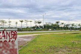 Đã đến lúc dùng công cụ thuế để khắc chế đầu cơ, thổi giá bất động sản