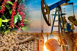 Lực mua mạnh kéo thị trường hàng hoá bật tăng