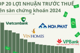 Ngôi vương đổi chủ trong Top20 lợi nhuận 2024, mình tỷ phú Phạm Nhật Vượng 'địch lại' nhóm ngân hàng