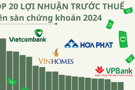 Ngôi vương đổi chủ trong Top20 lợi nhuận 2024, mình tỷ phú Phạm Nhật Vượng 'địch lại' nhóm ngân hàng