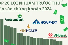 Ngôi vương đổi chủ trong Top20 lợi nhuận 2024, mình tỷ phú Phạm Nhật Vượng 'địch lại' nhóm ngân hàng