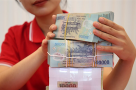Áp lực tỷ giá, lãi suất huy động sẽ ra sao trong năm nay?