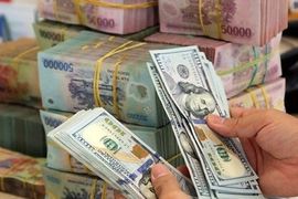Lãnh đạo NHNN nói về 2 dòng ngoại tệ lớn chảy ra trong năm 2024
