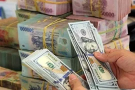 Lãnh đạo NHNN nói về 2 dòng ngoại tệ lớn chảy ra trong năm 2024