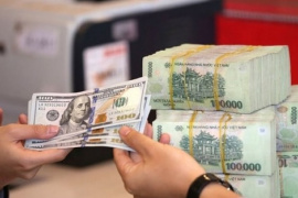 Kho bạc Nhà nước chào mua lượng lớn ngoại tệ giữa lúc tỷ giá USD lên cao lịch sử