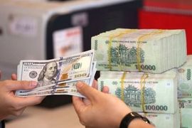 Kho bạc Nhà nước chào mua lượng lớn ngoại tệ giữa lúc tỷ giá USD lên cao lịch sử