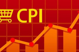 CPI Việt Nam tăng gần 1% trong tháng 1, nguyên nhân do đâu?