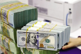 UOB: Tỷ giá USD có thể đạt mức 26.000 đồng trong năm 2025