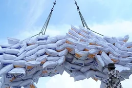 Thu hẹp khoảng cách với gạo Thái Lan và Ấn Độ, giá gạo Việt Nam trên đà phục hồi?