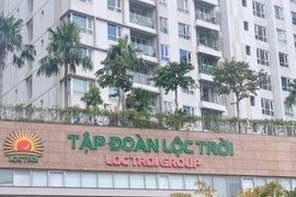 Lộc Trời đối mặt nguy cơ lỗ hơn 500 tỷ đồng, cổ phiếu tiếp tục bị hạn chế giao dịch