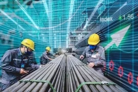 CTCK dự báo KQKD ngành thép quý 2/2025: Hoà Phát, Hoa Sen, Nam Kim tăng trưởng ra sao?