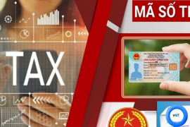 Cục Thuế hướng dẫn sử dụng số định danh thay mã số thuế từ ngày 1/7