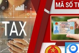 Cục Thuế hướng dẫn sử dụng số định danh thay mã số thuế từ ngày 1/7