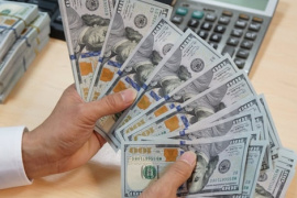 Kho bạc Nhà nước liên tục chào mua lượng lớn USD, tỷ giá thêm áp lực