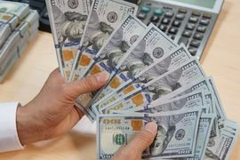 Kho bạc Nhà nước liên tục chào mua lượng lớn USD, tỷ giá thêm áp lực