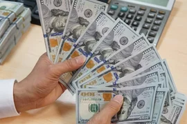 Kho bạc Nhà nước liên tục chào mua lượng lớn USD, tỷ giá thêm áp lực
