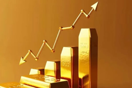 Giá vàng SJC lập kỷ lục mới trong phiên sáng 21/8