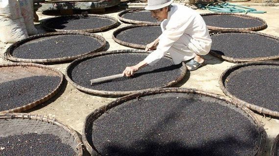 Mặt hàng Việt Nam có sản lượng lớn nhất thế giới đang liên tục tràn vào Ai Cập, xuất khẩu tăng mạnh 200% chỉ trong tháng 8
