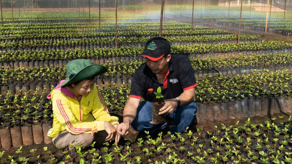 Thương hiệu Nestlé được định giá bao nhiêu trên thị trường thế giới?