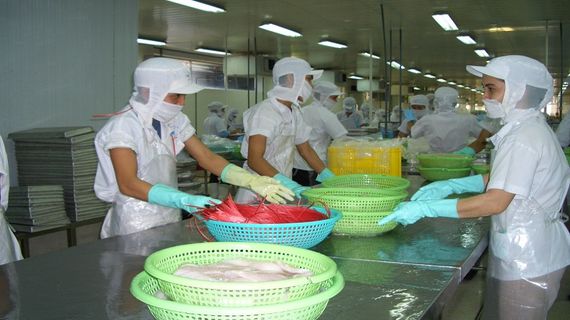 Khách hàng Trung Quốc, Mỹ tăng mua tôm và cá tra