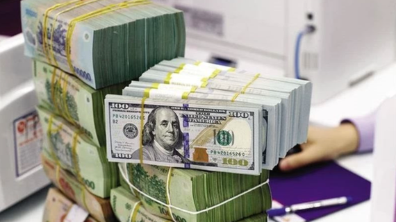 Ngân hàng Nhà nước: Trong trường hợp cần thiết vẫn phải can thiệp tỷ giá