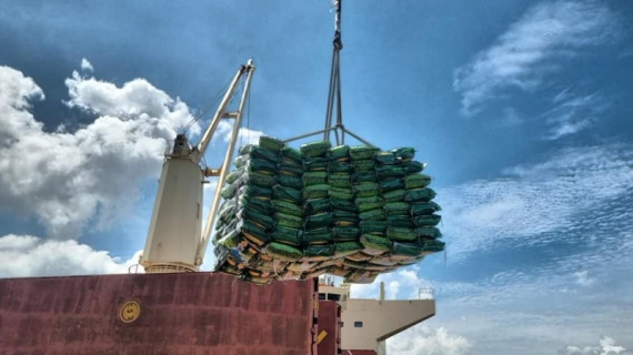 Năm 2024, xuất khẩu gạo dự báo tương đương năm 2023 nhưng vẫn đảm bảo được an ninh lương thực