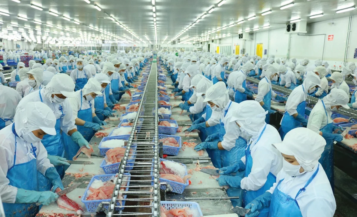 Doanh thu năm 2023 của Vĩnh Hoàn sụt giảm 25% so với năm 2022, trong khi lợi nhuận sau thuế giảm tới 53% (Ảnh minh họa)